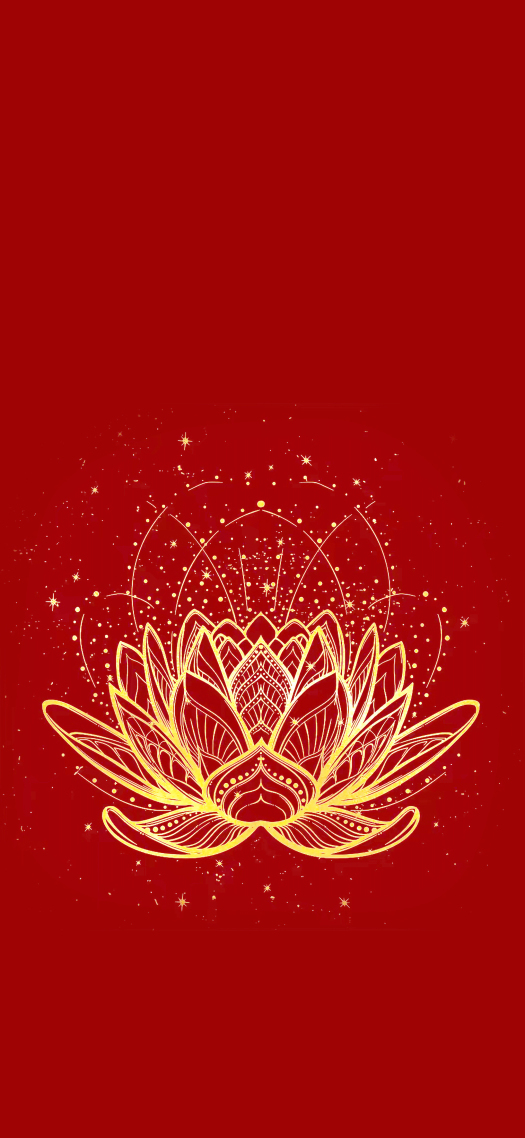 4K 佛系 禅意 金色莲花