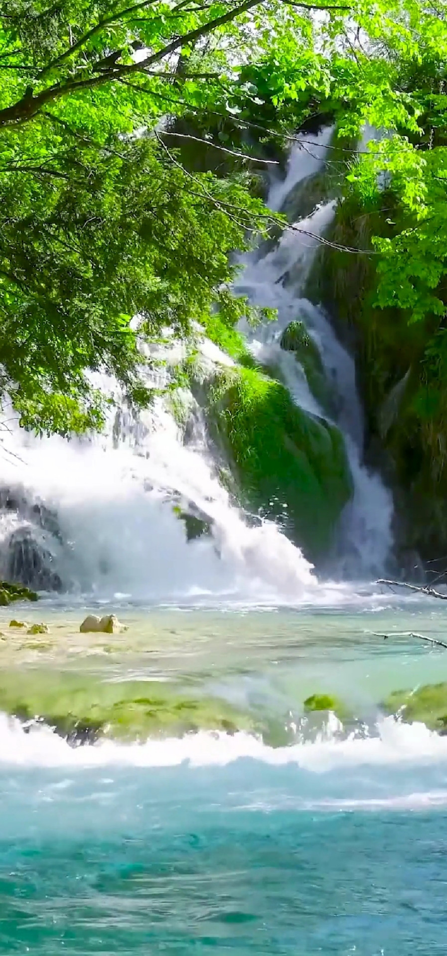 自然風景