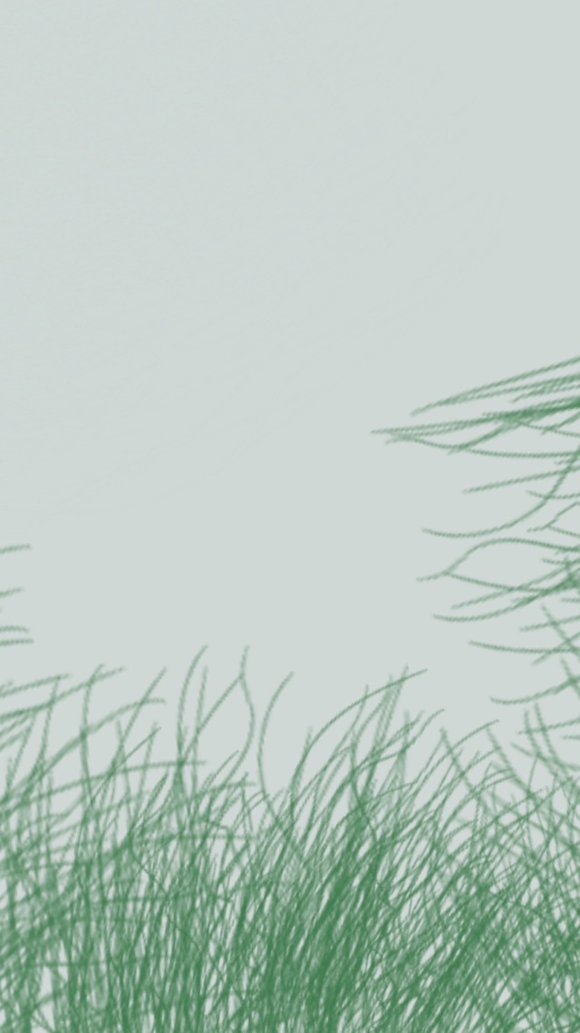 绿草3