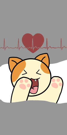 嗷呜猫咪