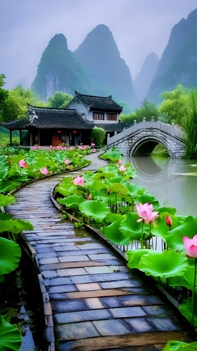 荷花园