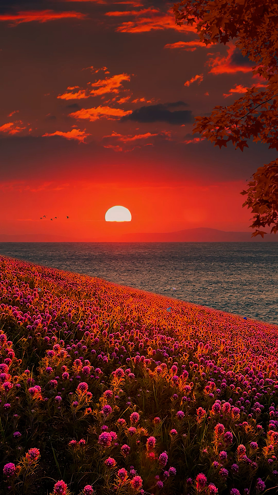 落日夕陽
