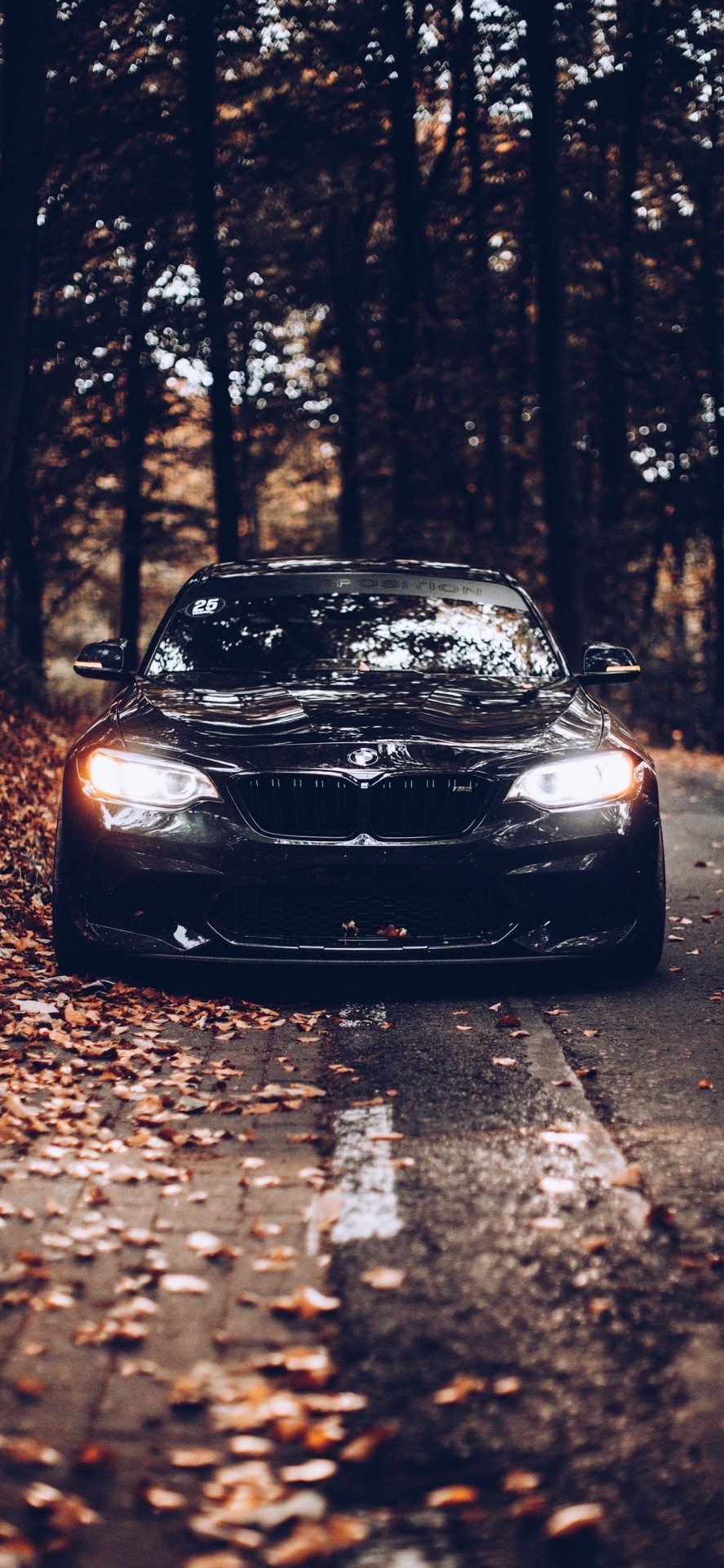 唯美的森林中汽車