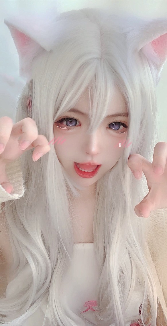 小野猫