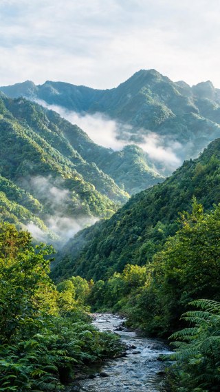 横断山脉·绿季
