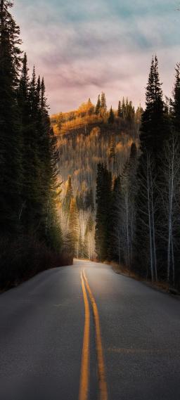 公路壁纸 - 公路手机壁纸 - 公路手机静态壁纸 - 元气壁纸