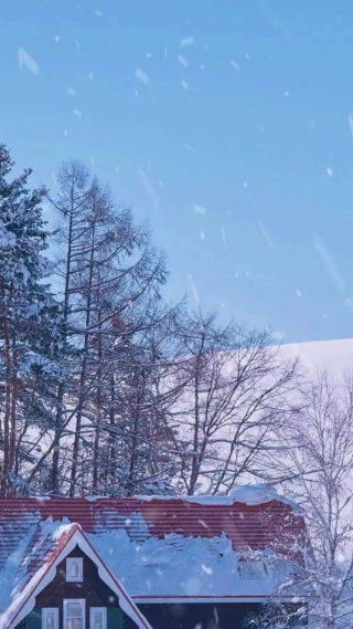 雪景