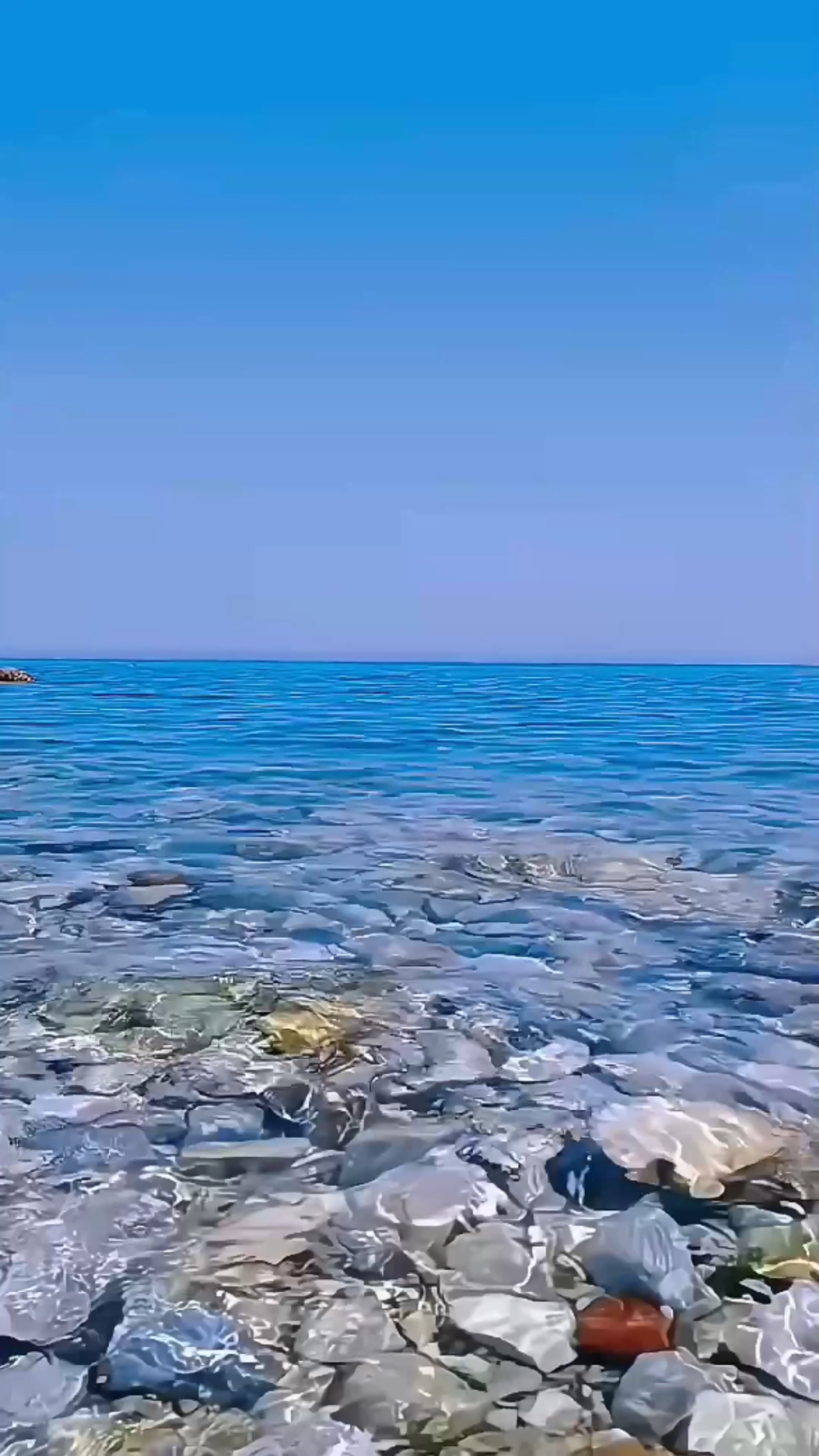 大海④