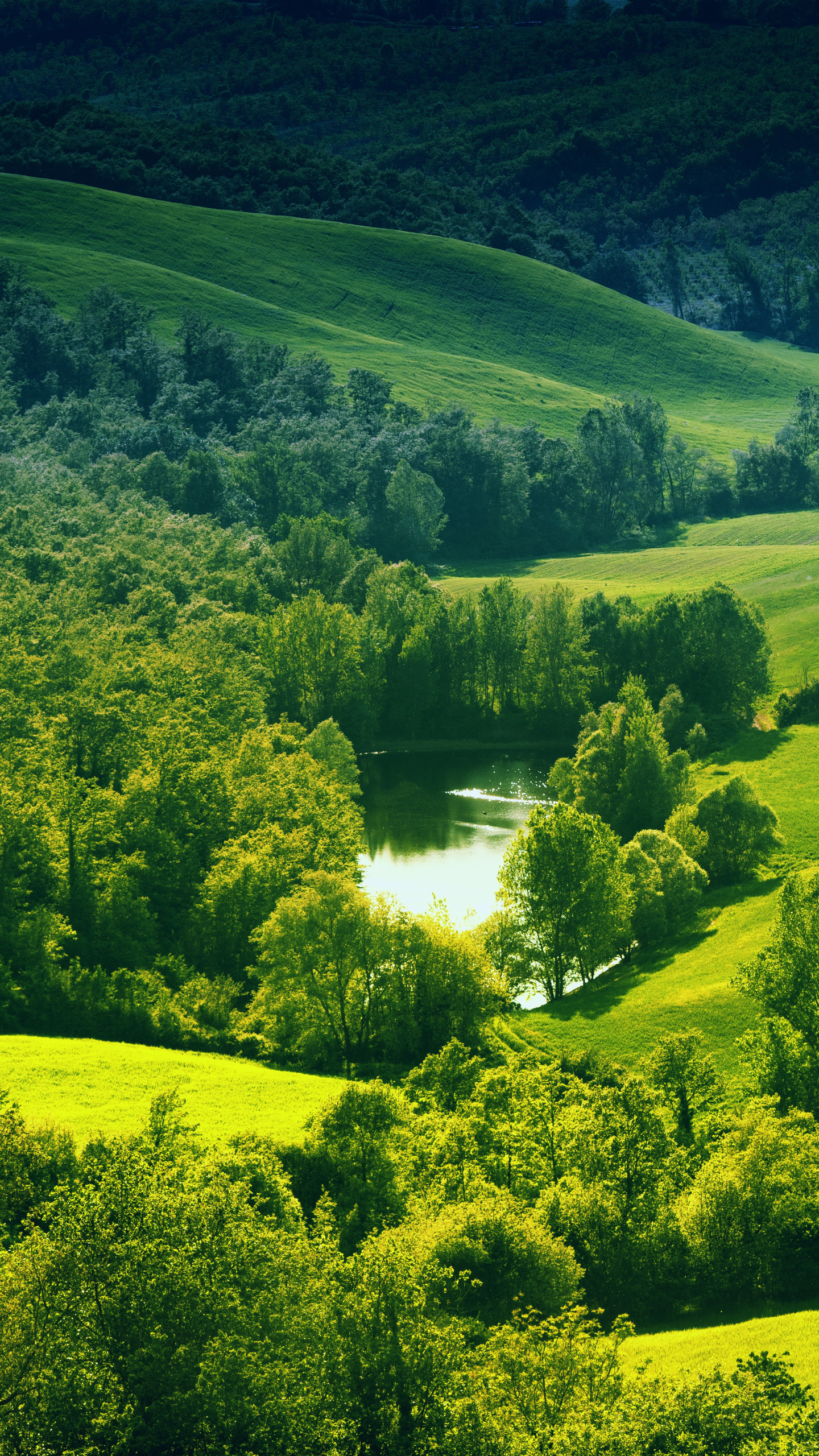 微信圖片背景~綠色的山野 風景 (2)