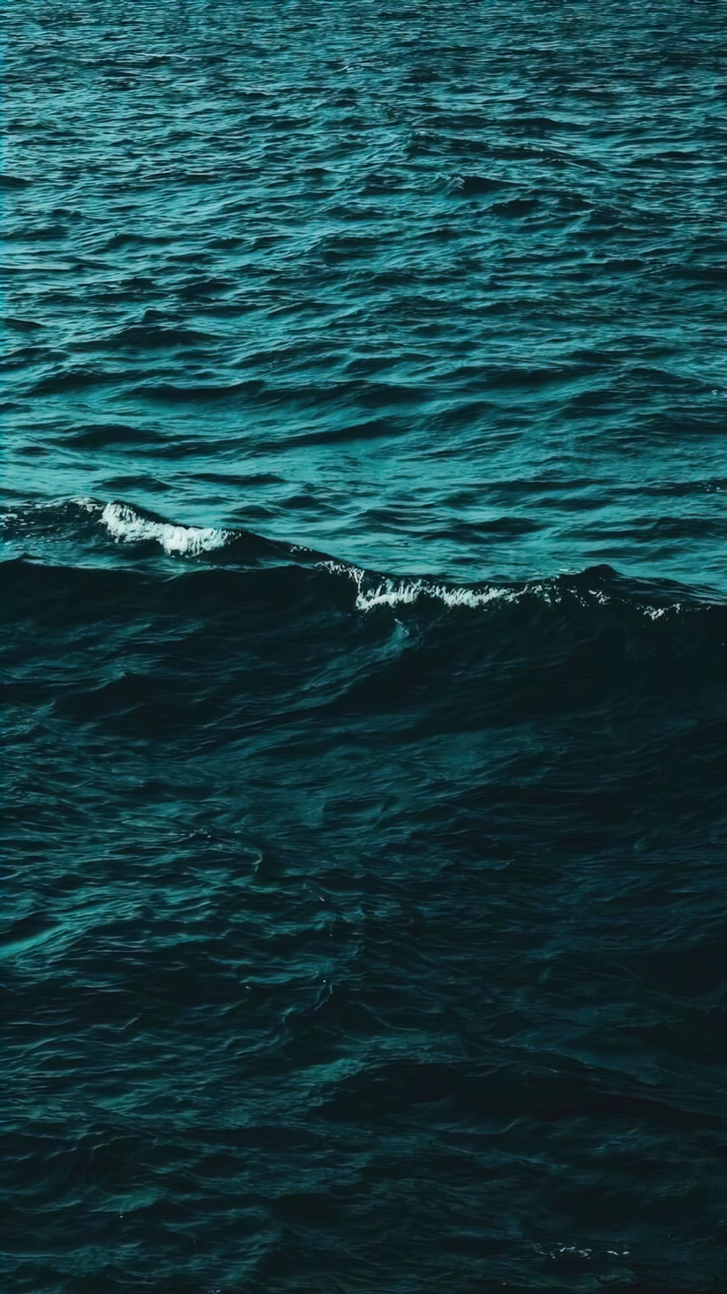 海
