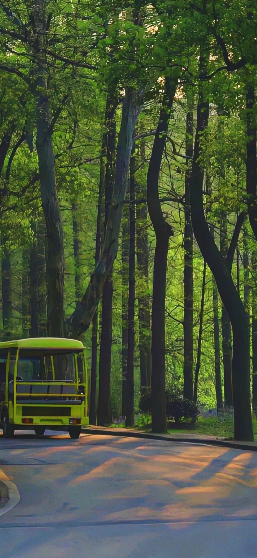 綠色公交車