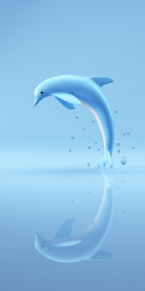 海豚倒影