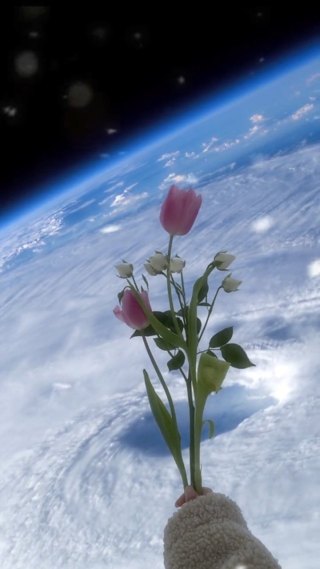 赠送鲜花（宇宙）