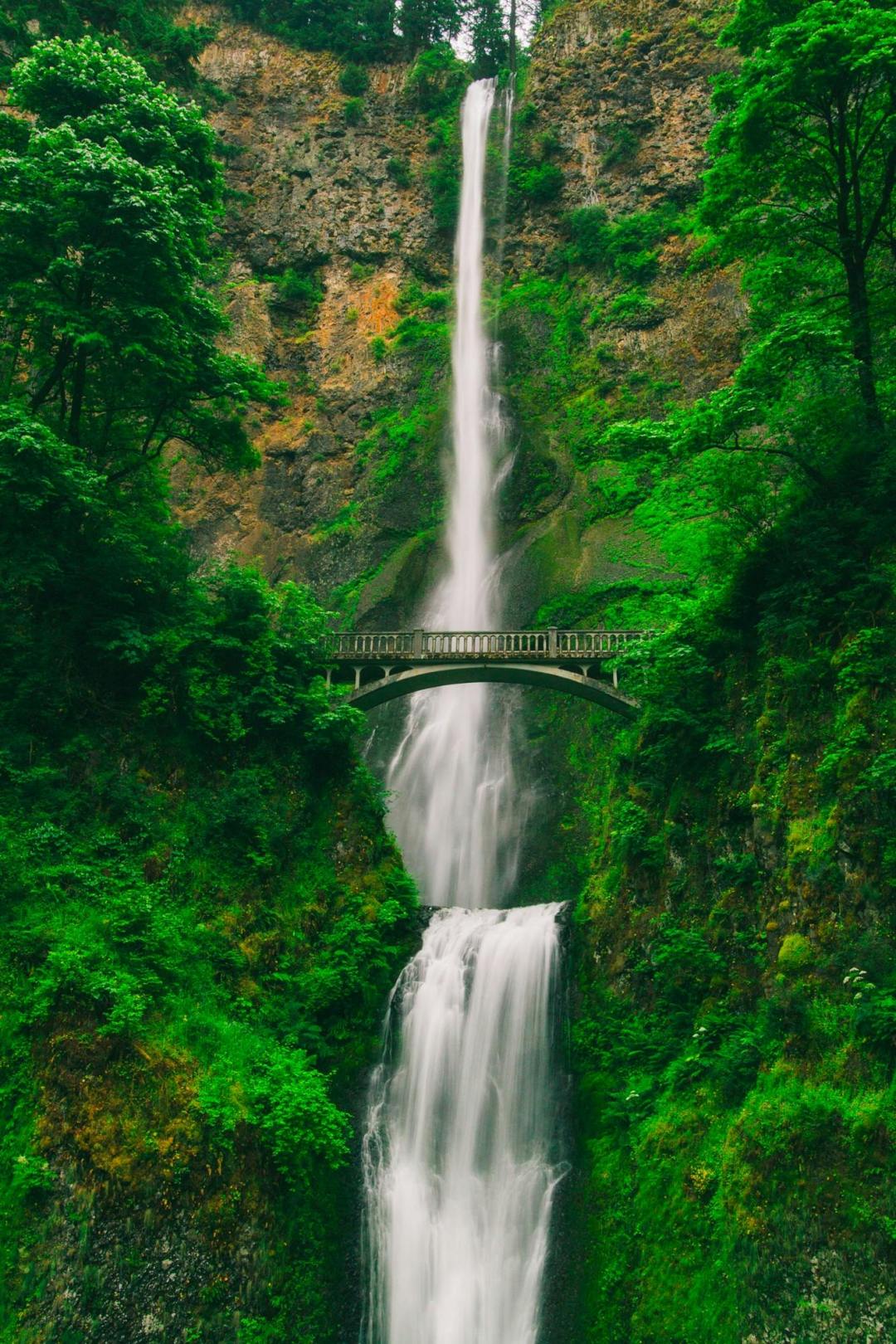 绿色清新护眼风景