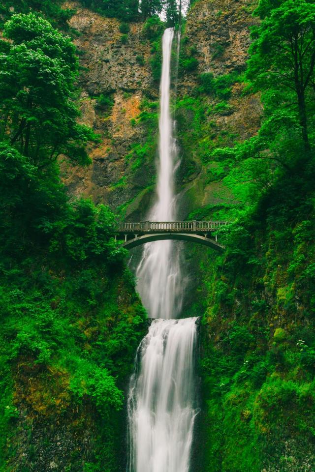 綠色清新護眼風景