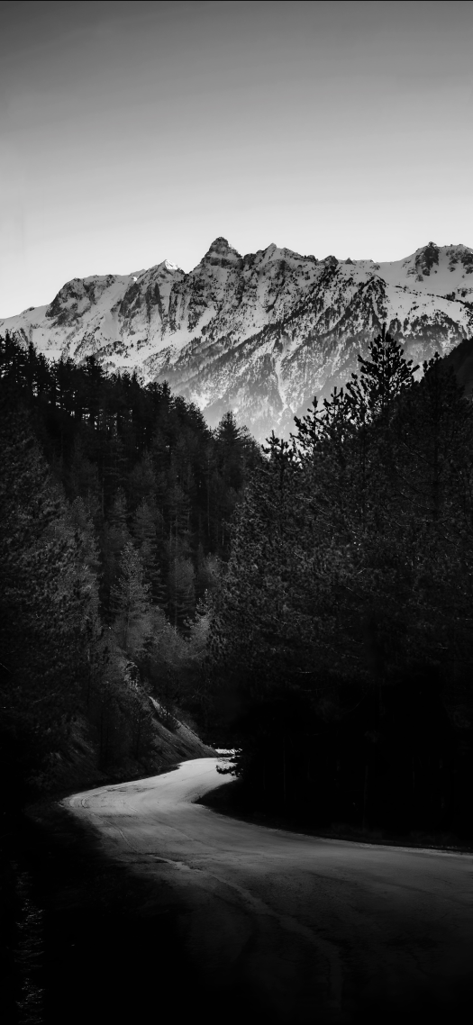 景深风格的风景山峰小路