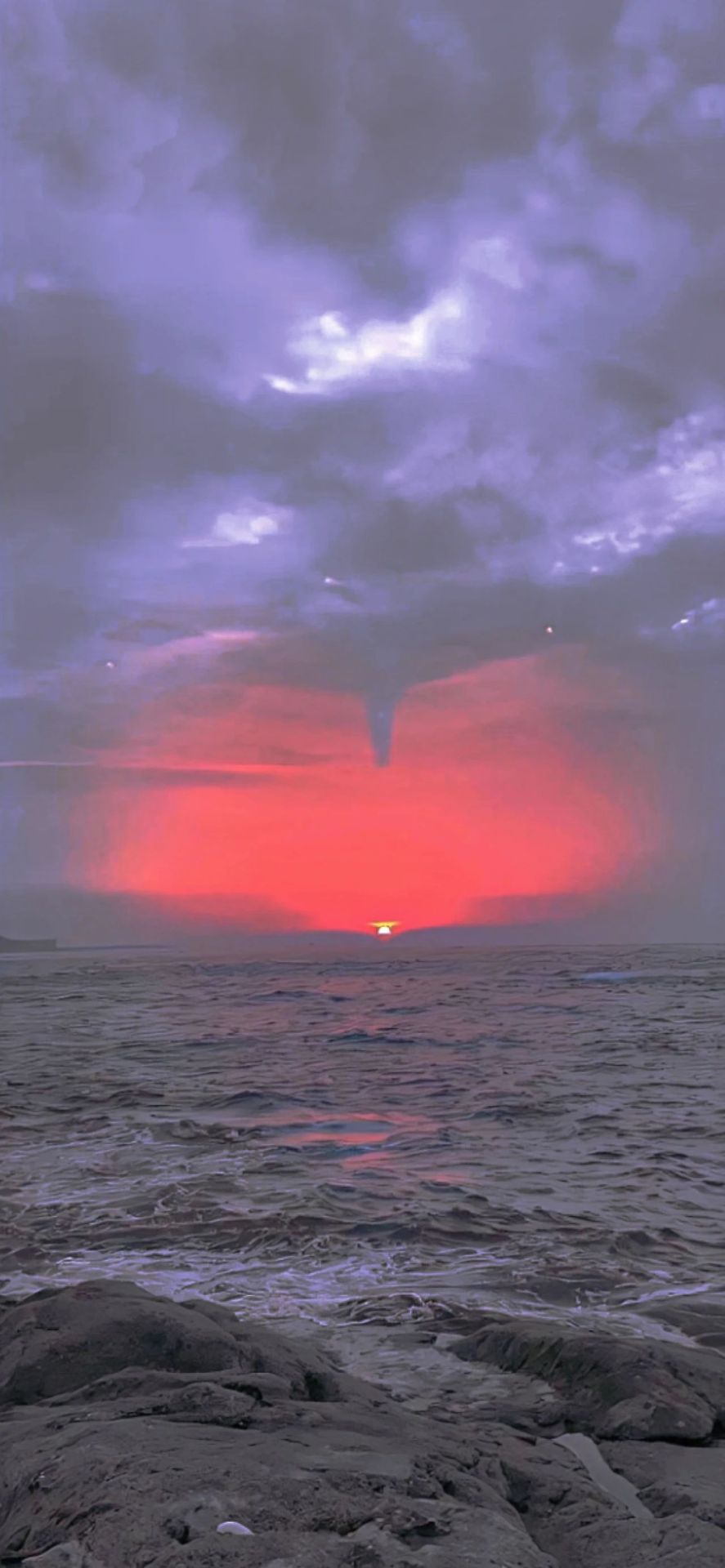海
