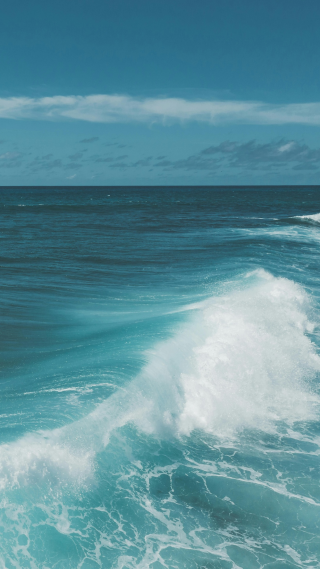 大海
