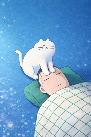 猫踩懒汉