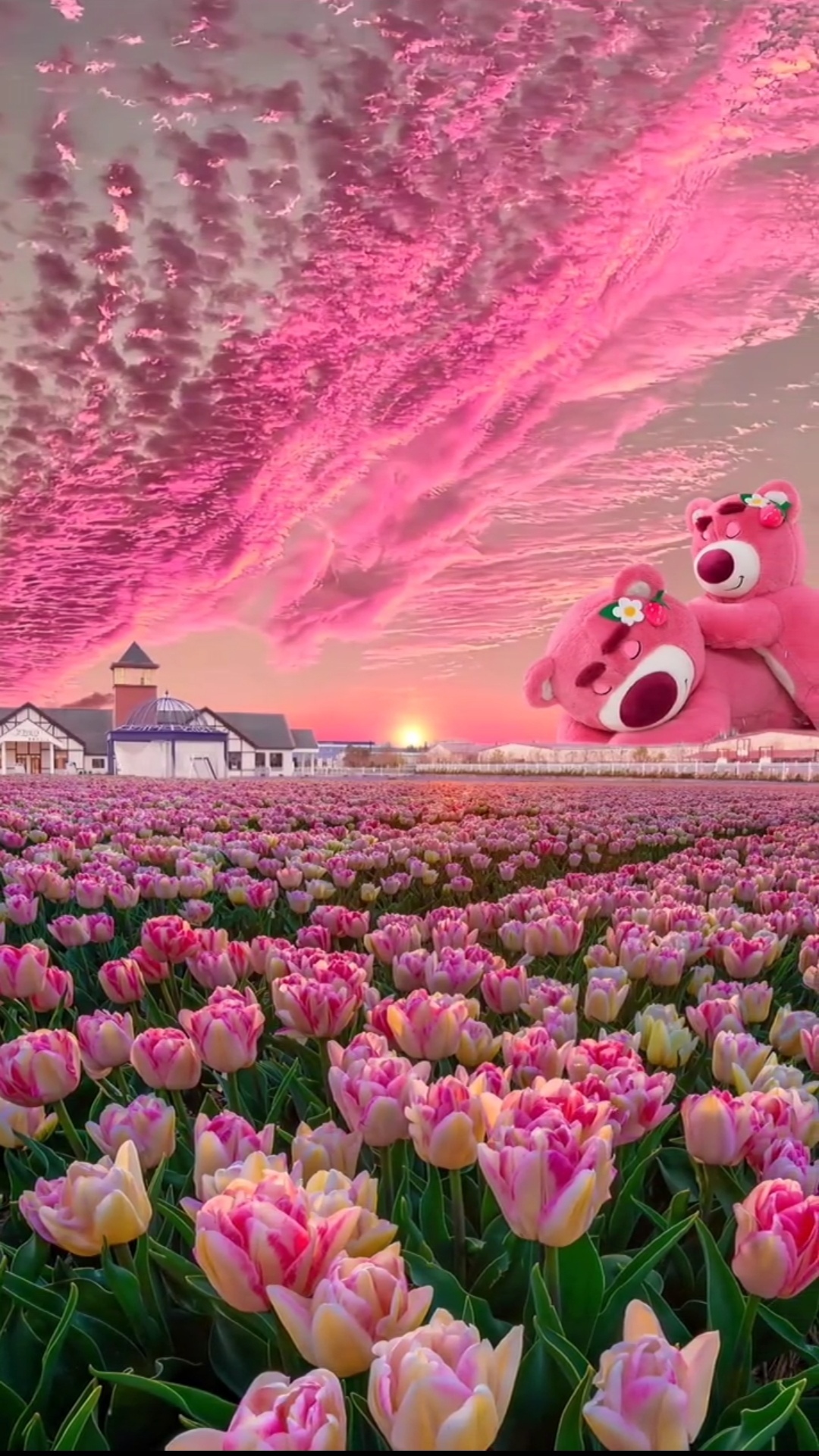 草莓熊