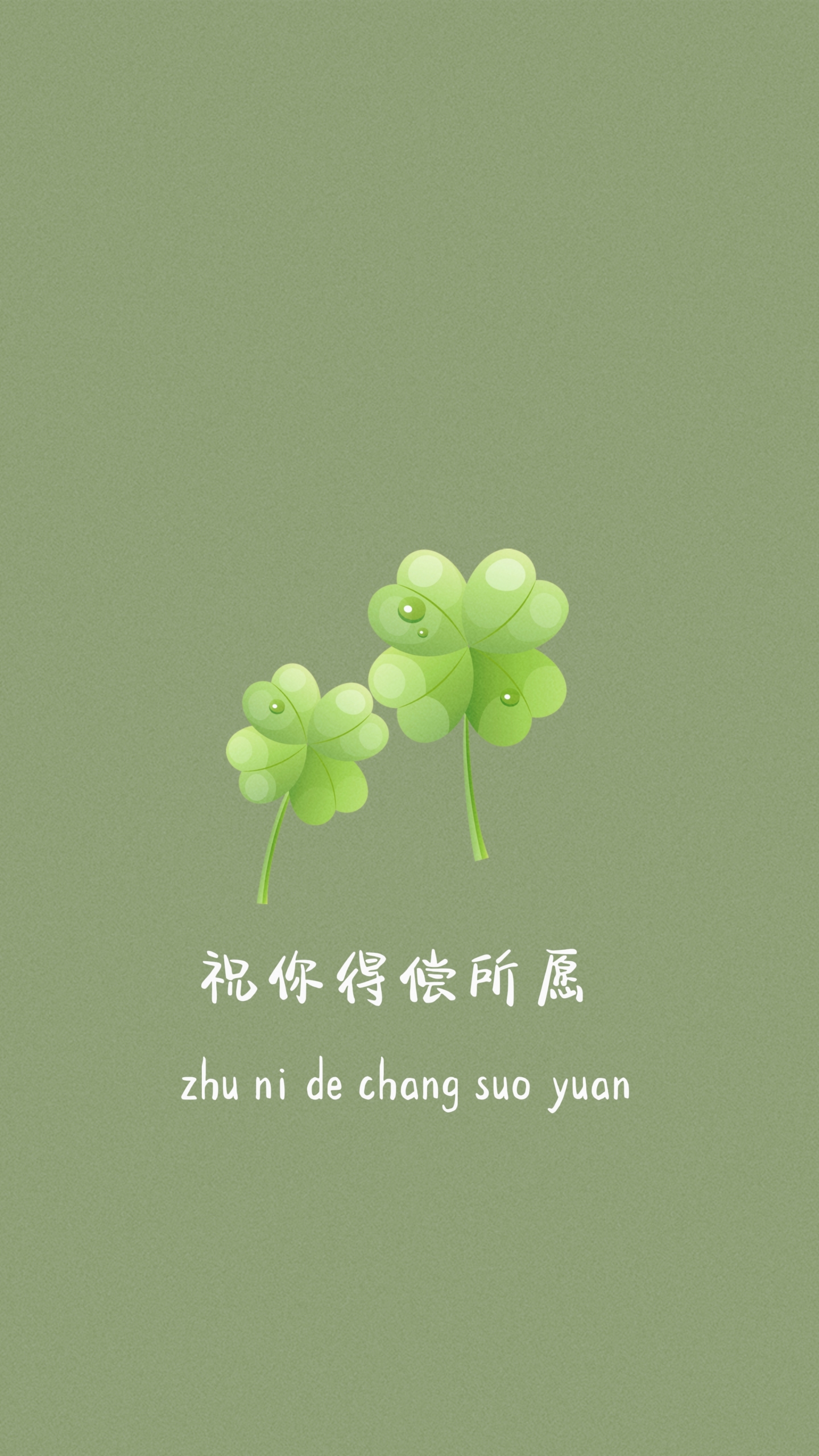 四葉草