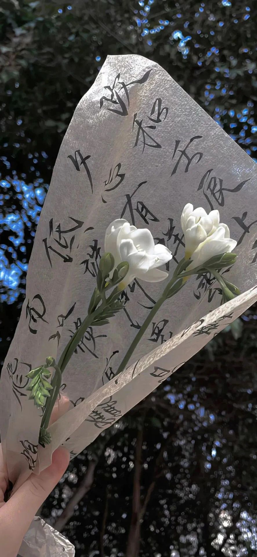 花圖案