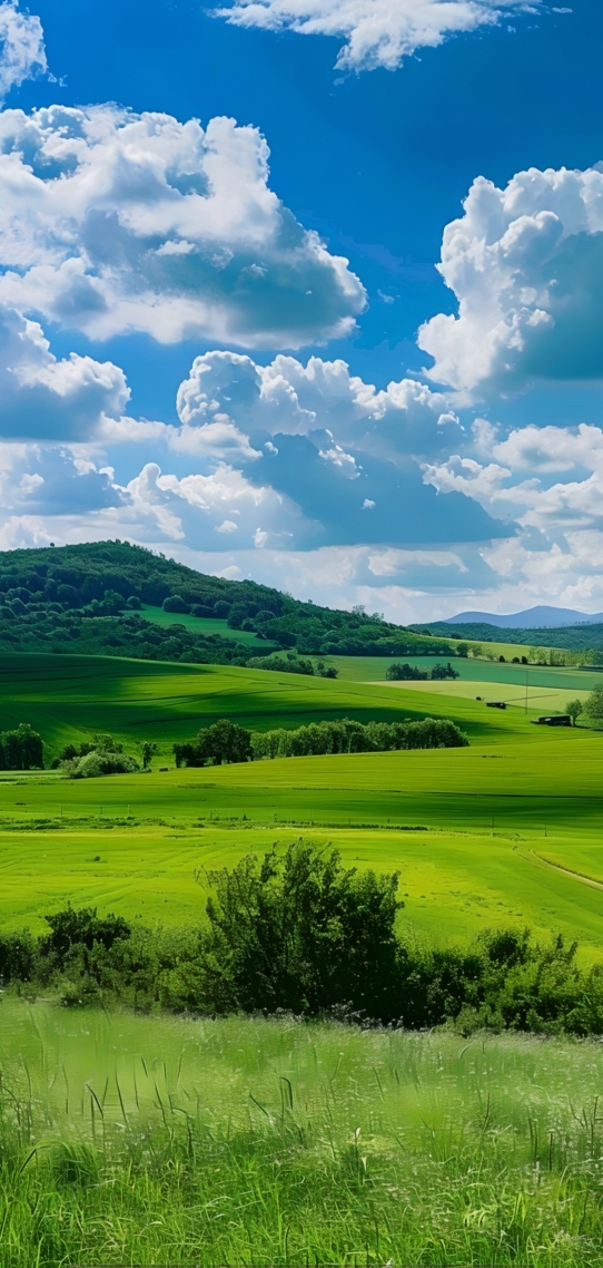 自然清新护眼风景