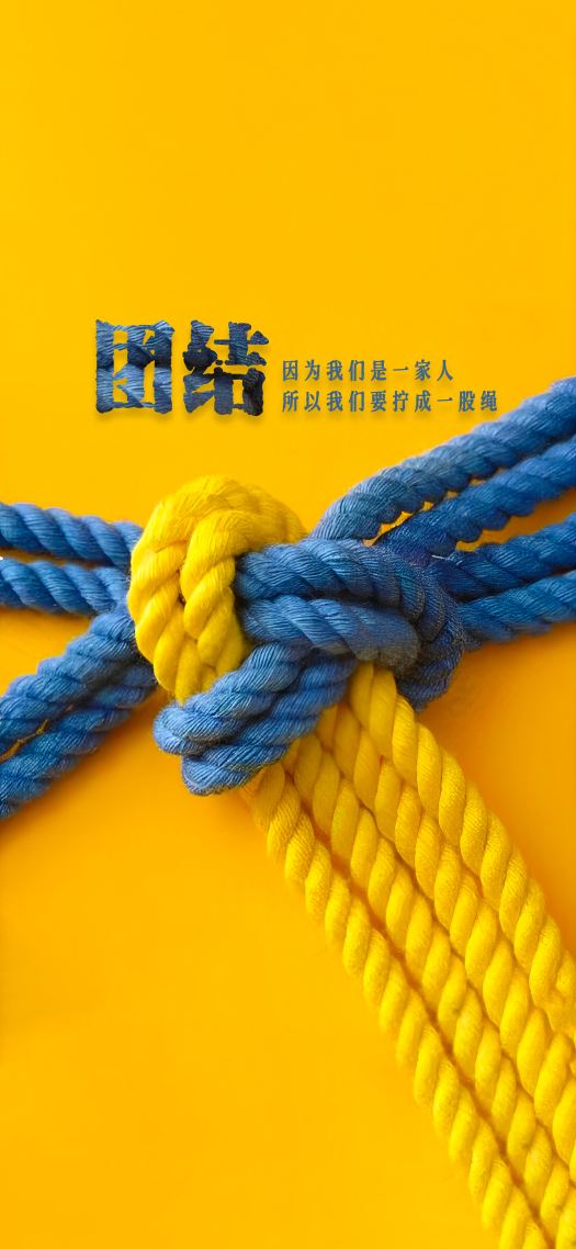 团结就是力量②