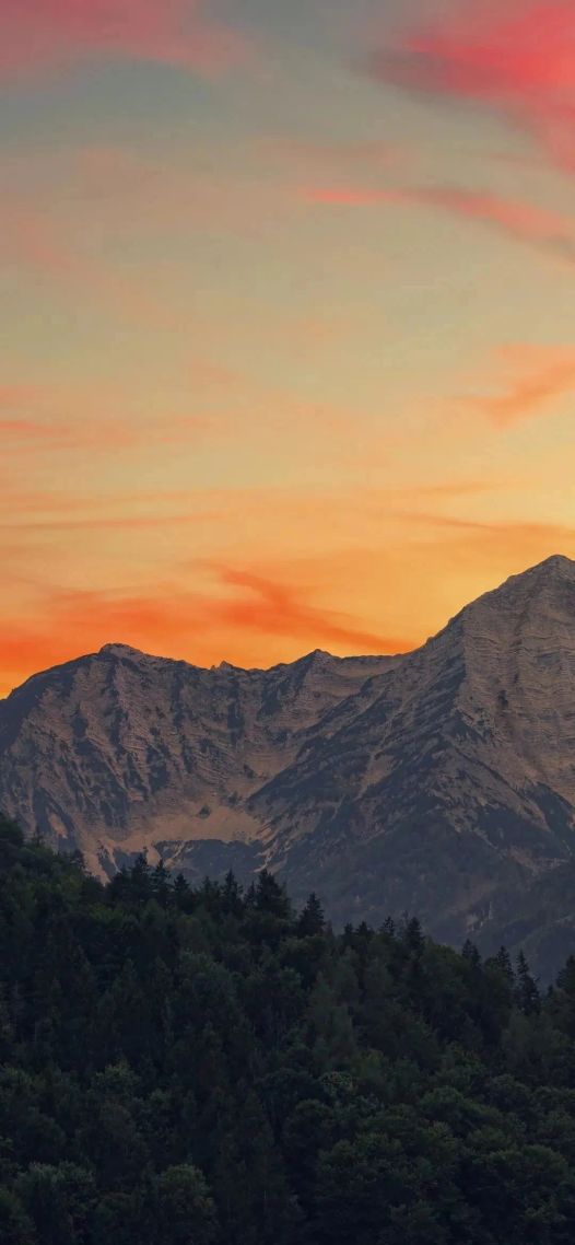 高山