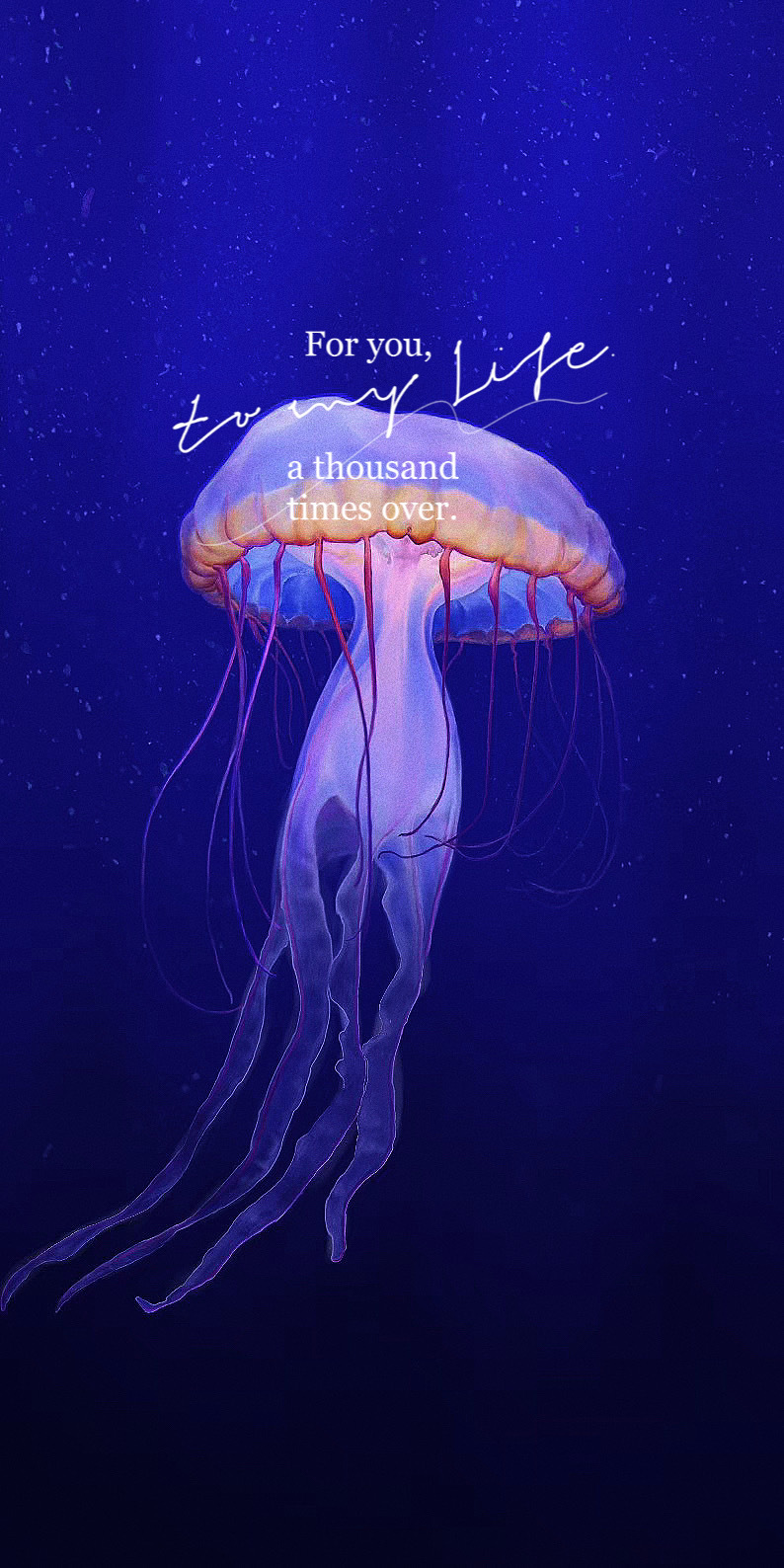 水母