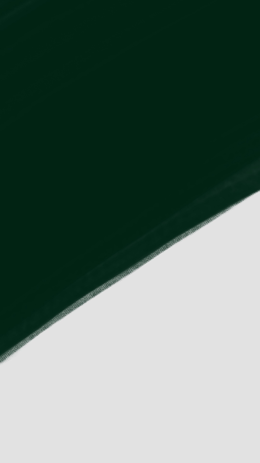 黑白