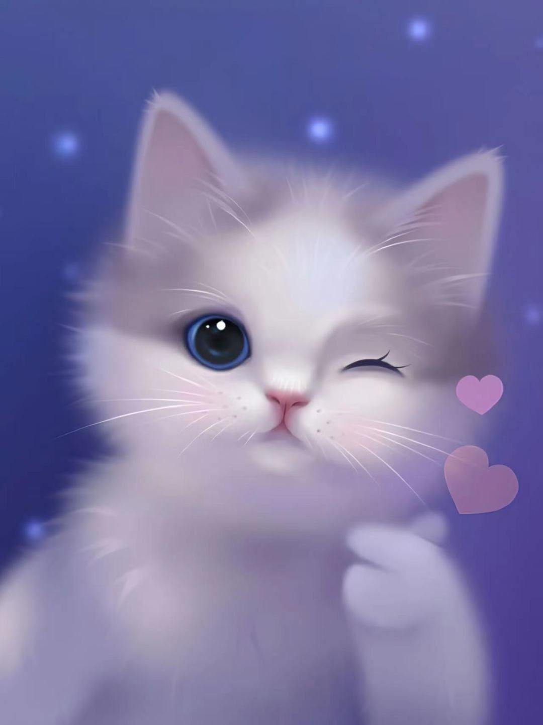 单眼萌猫