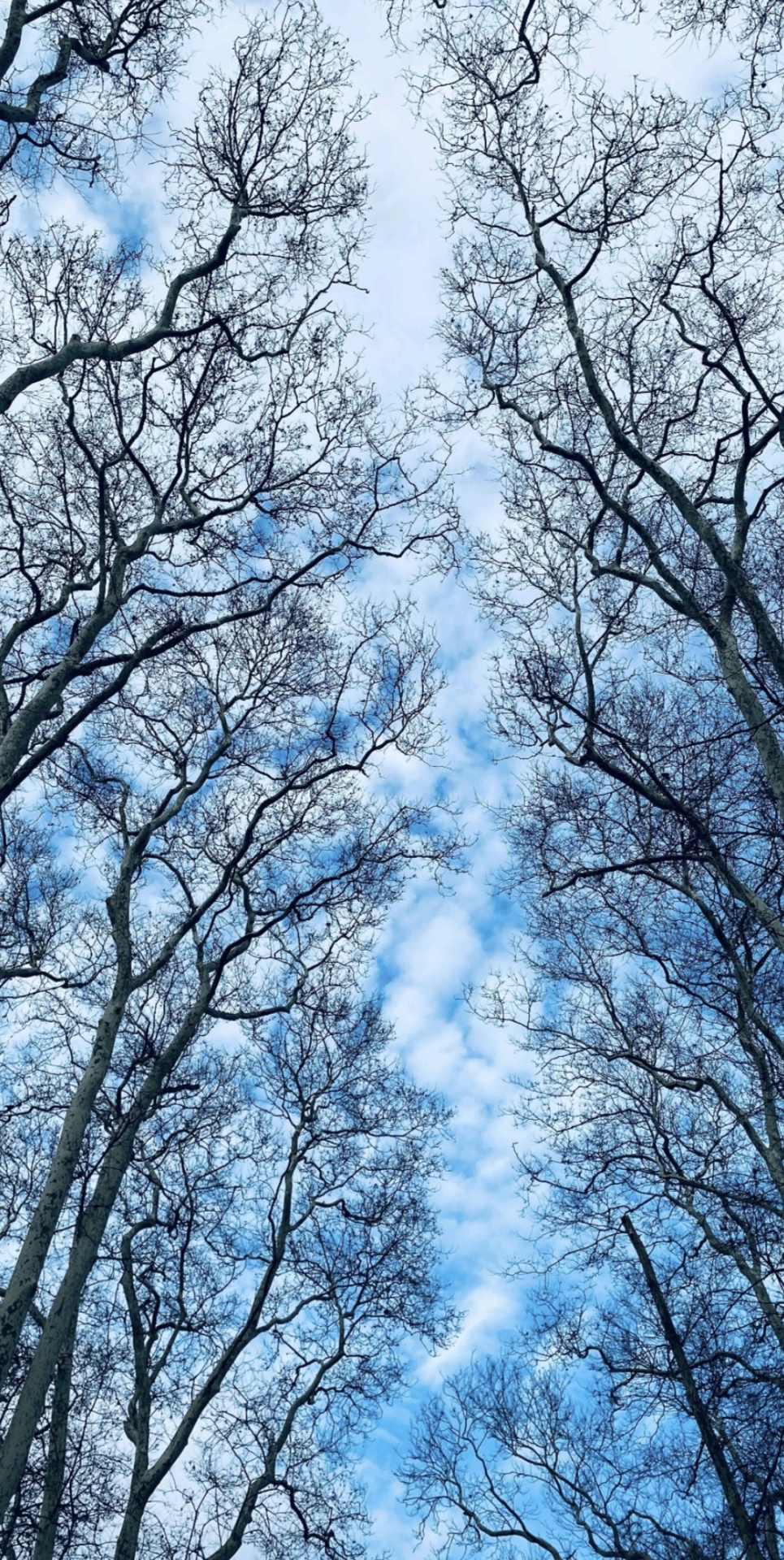 唯美的風景