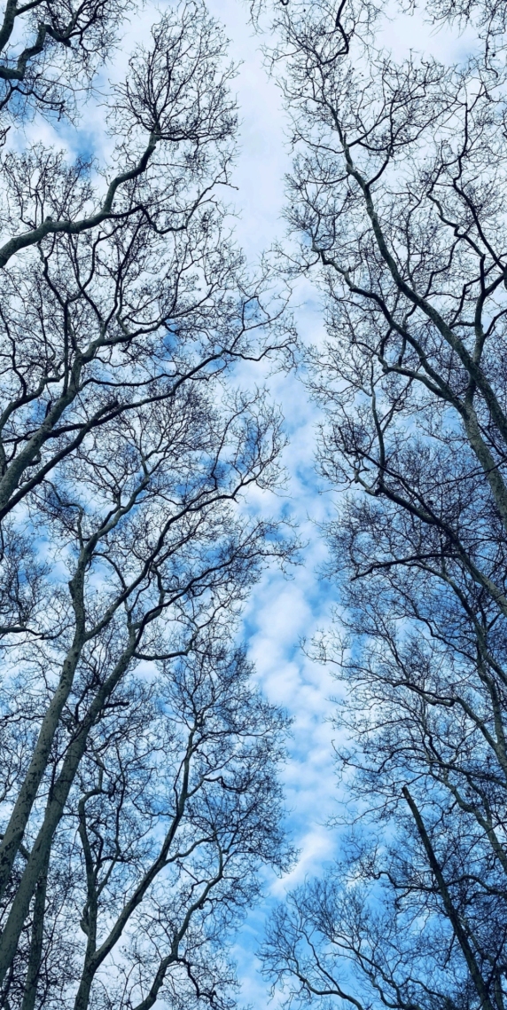 唯美的风景