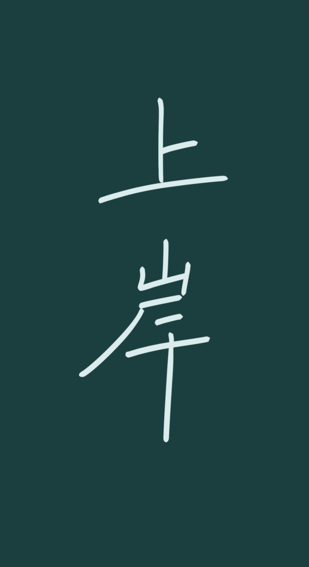 上岸