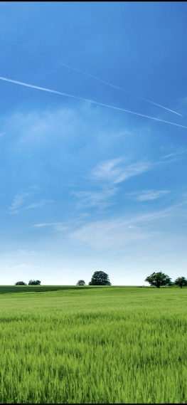 绿色草原的蓝天