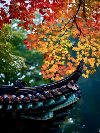 秋色满园关不住