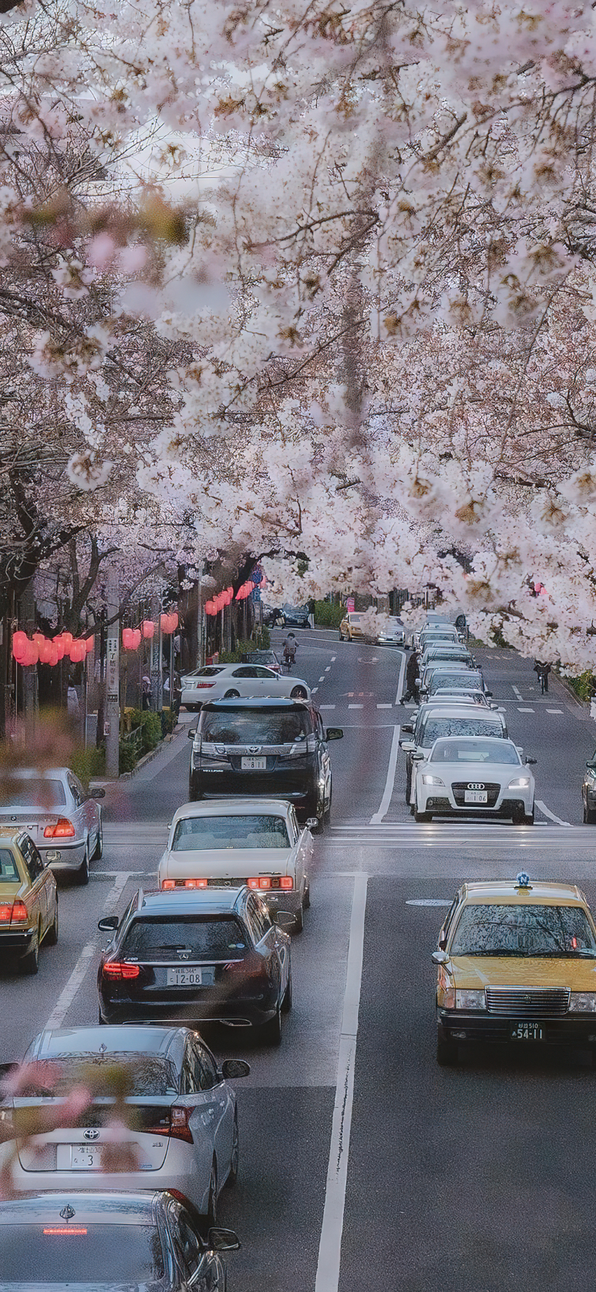 浪漫街道