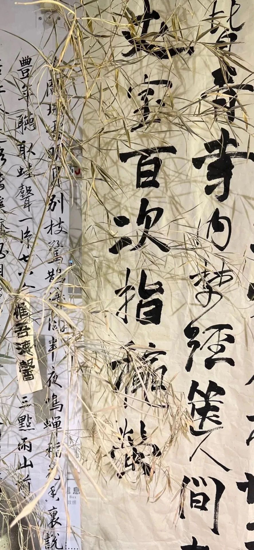 百次