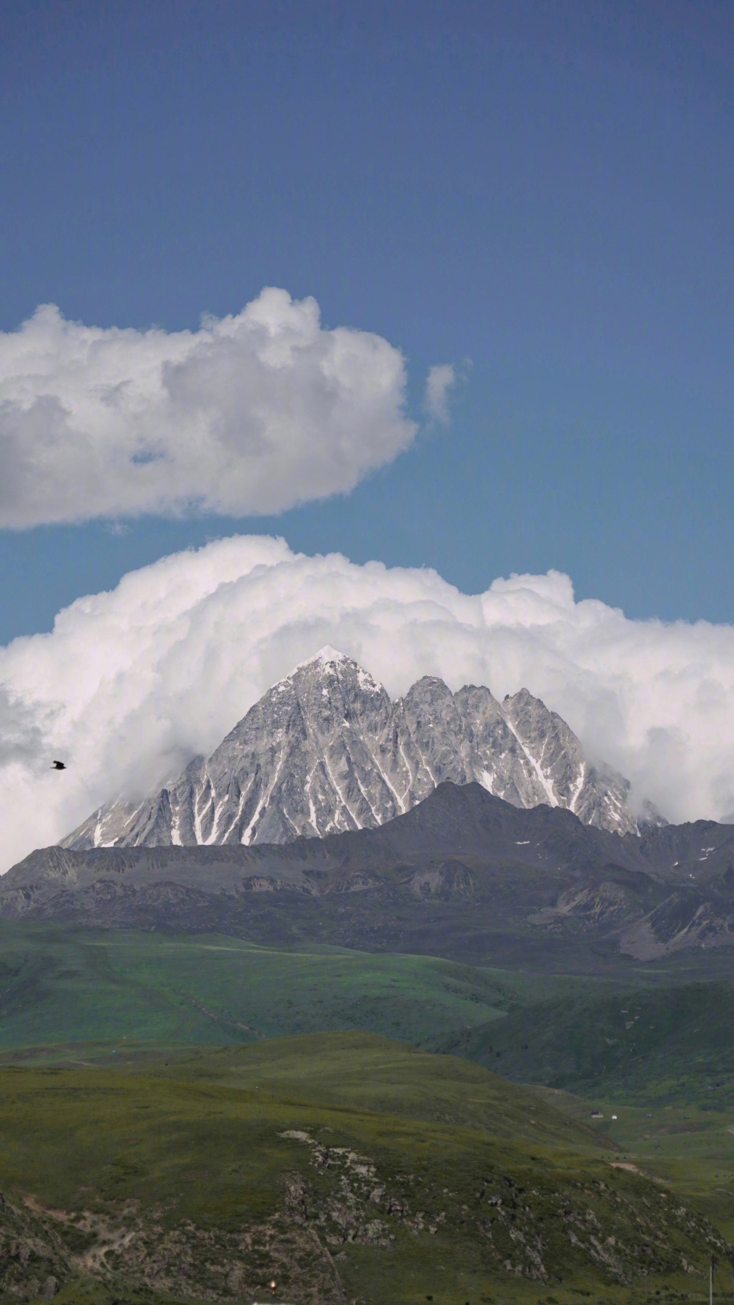 山
