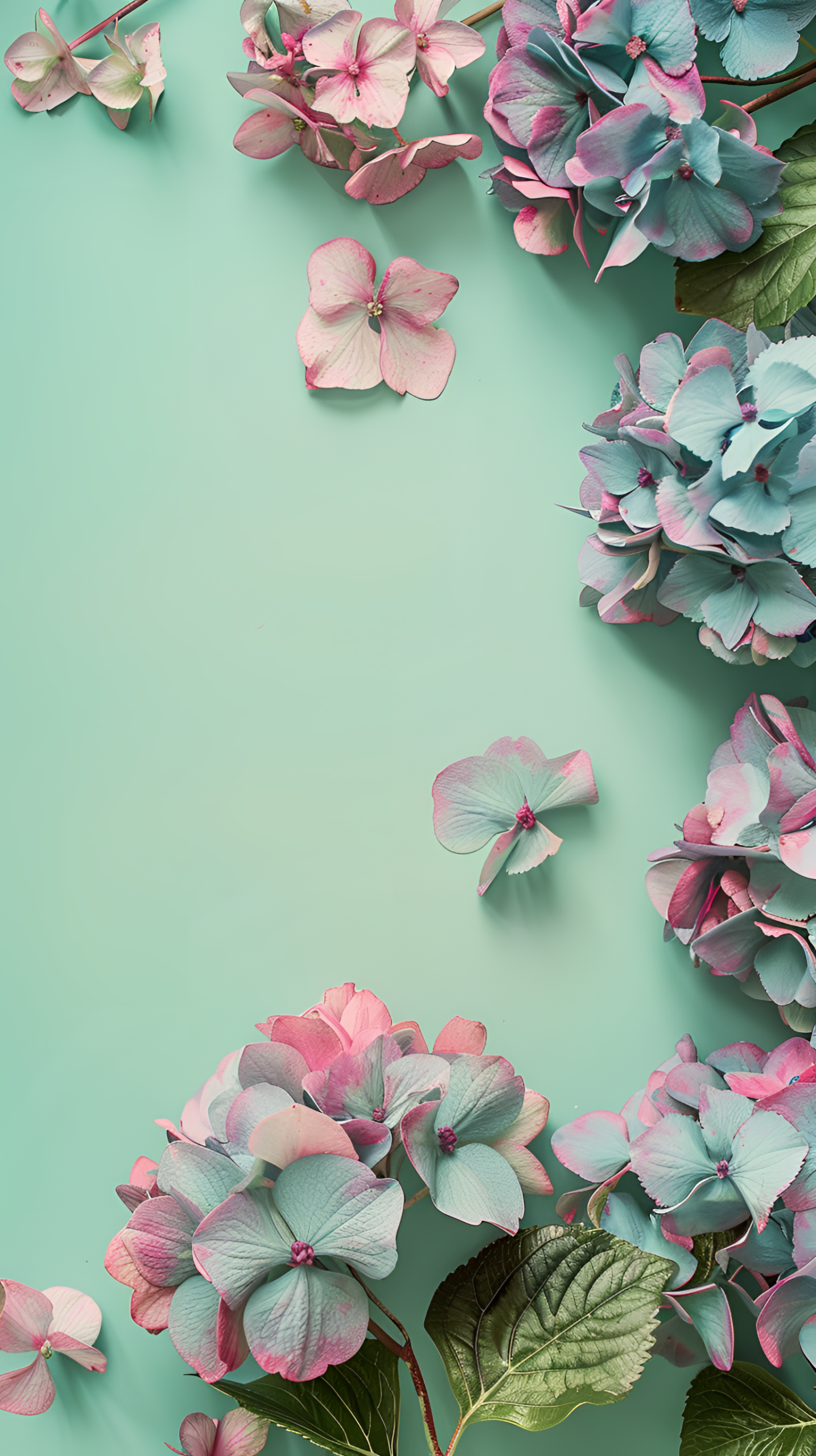 綠色護眼清新繡球花