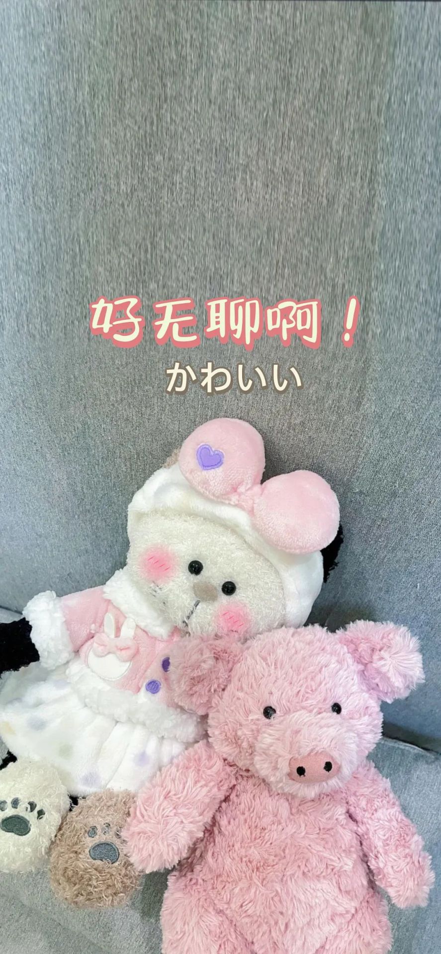 白色的小熊