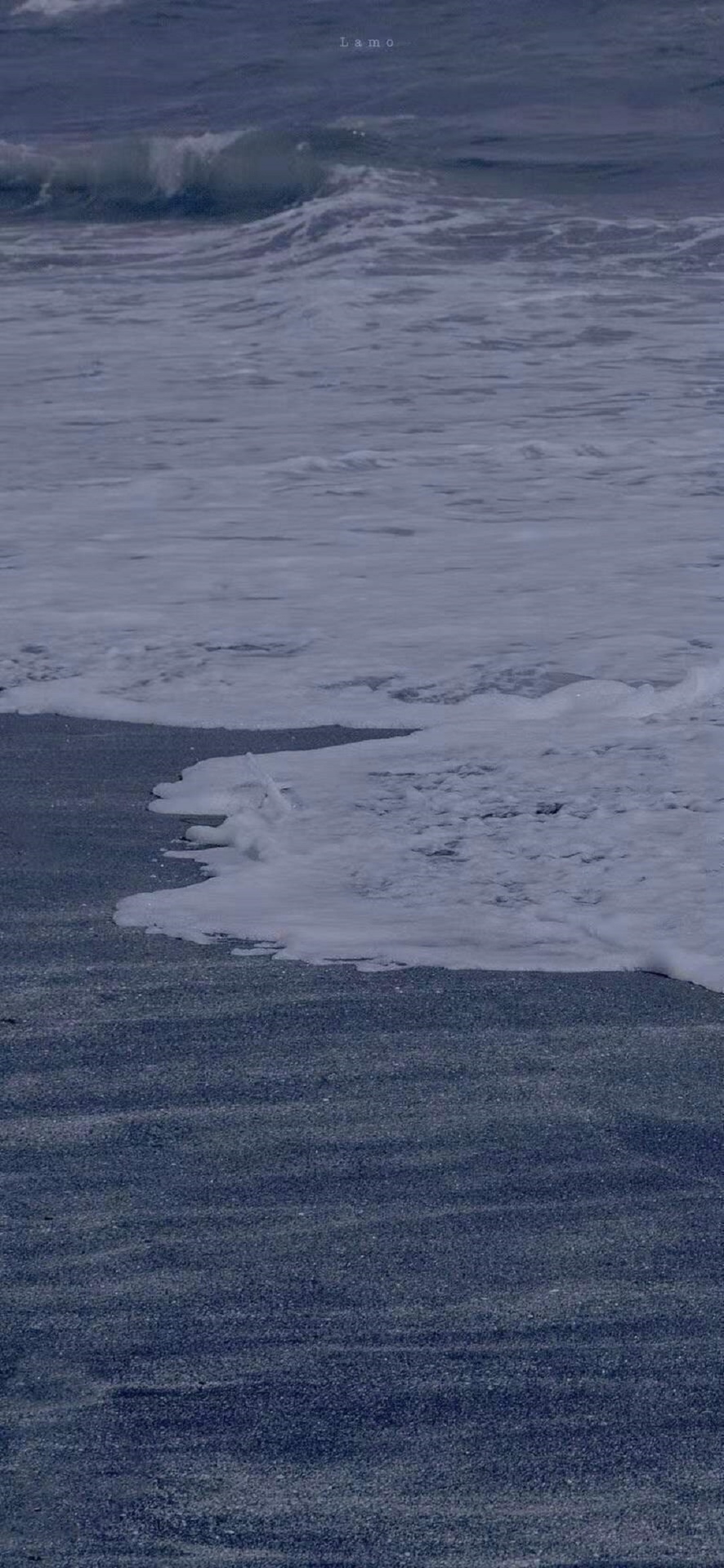 爱上大海