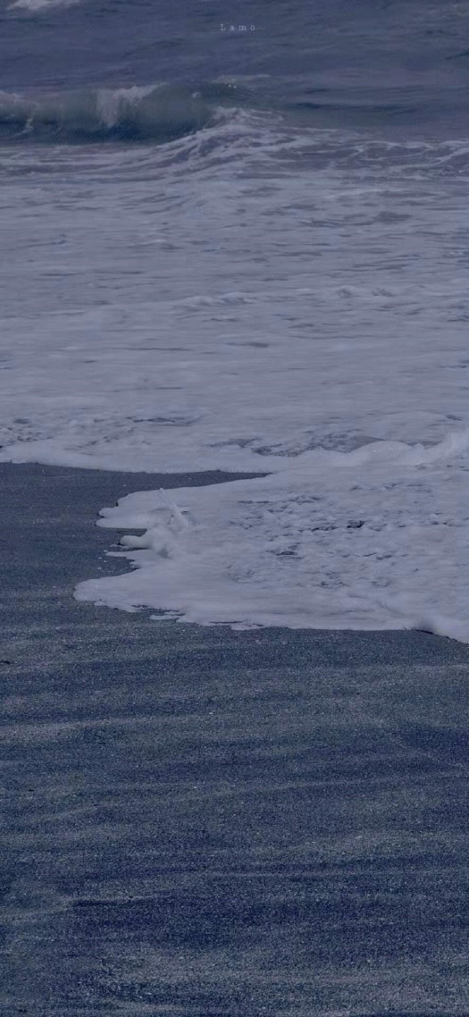 愛上大海