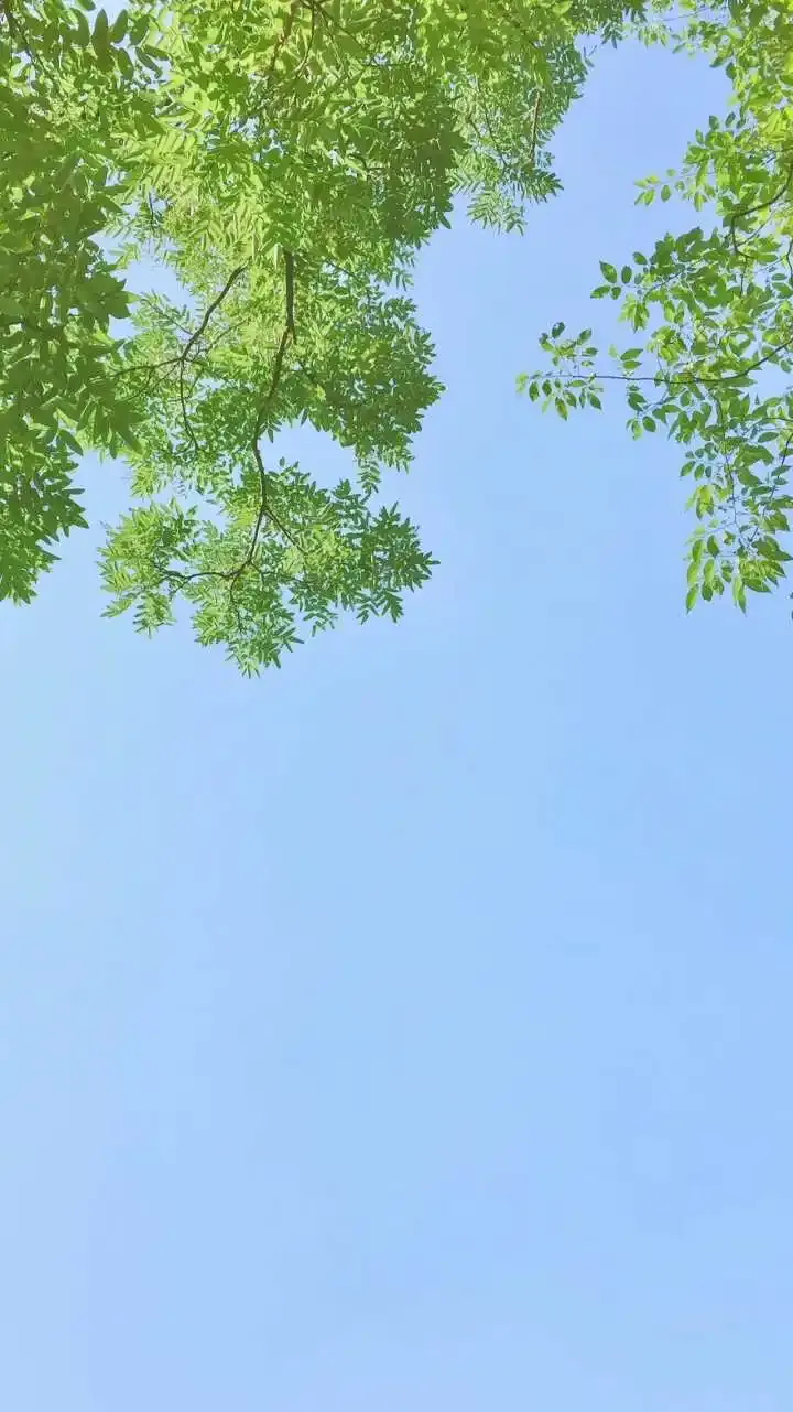 夏日小清新