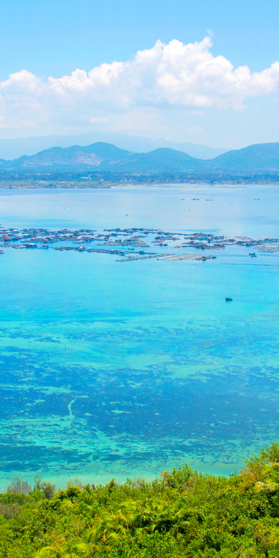海南綠松石海~寧靜手機屏保壁紙