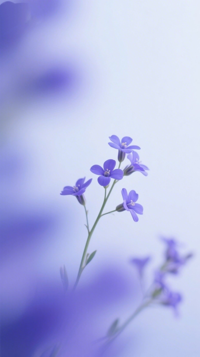 紫花