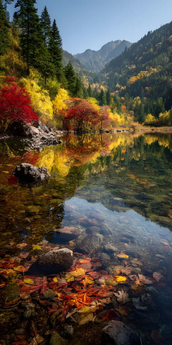 秋日湖畔，斑斓的自然画卷