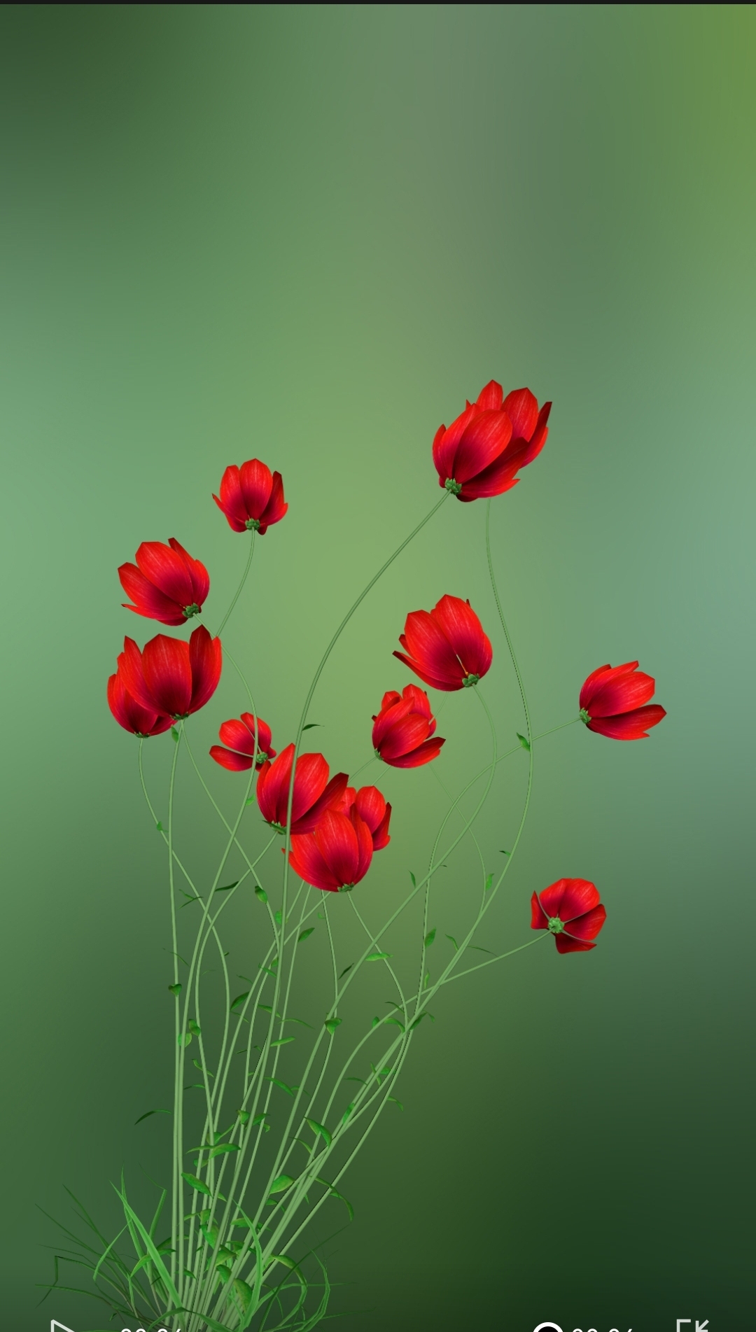 花花
