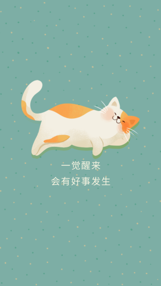 好运猫